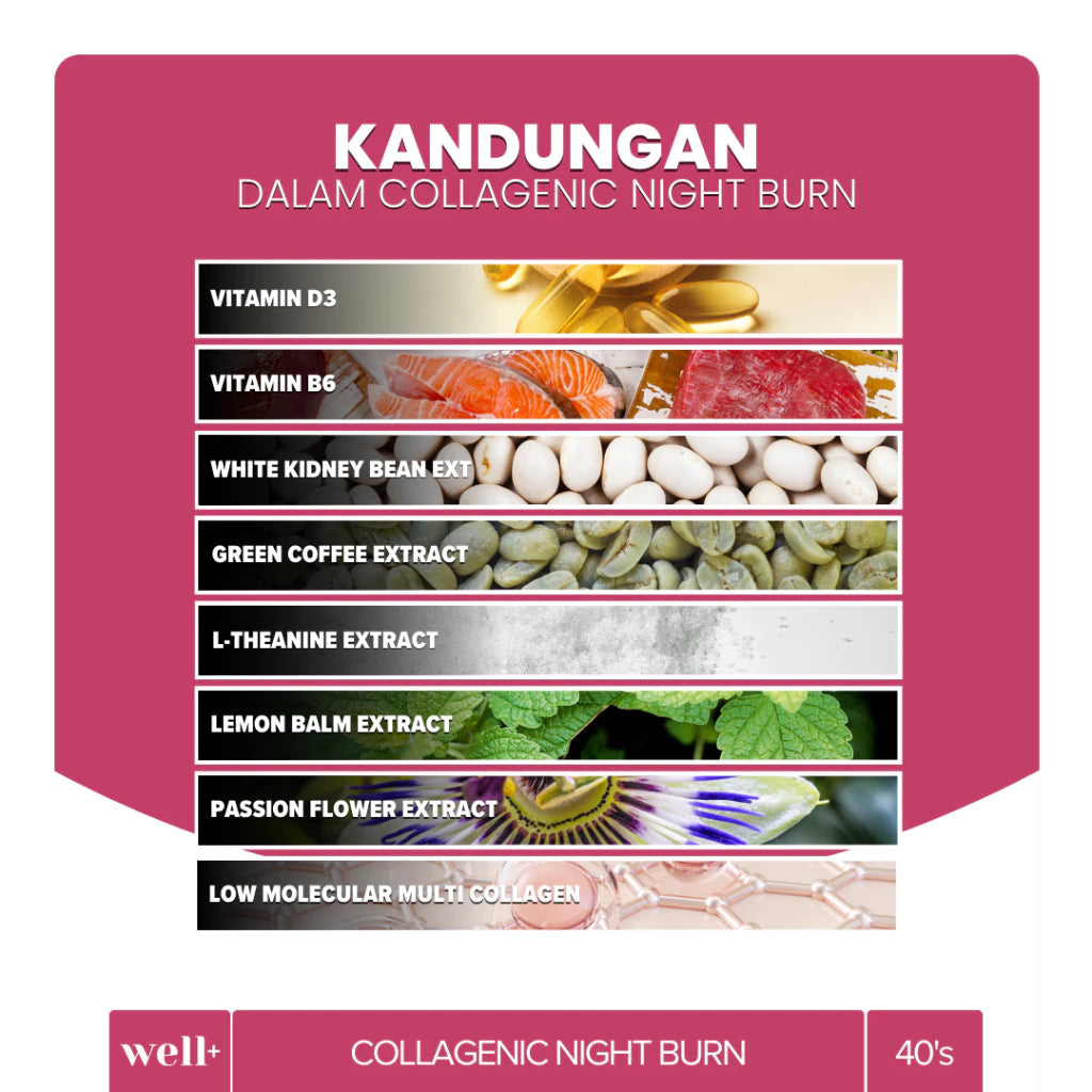 Well+ Collagenic Night Burn